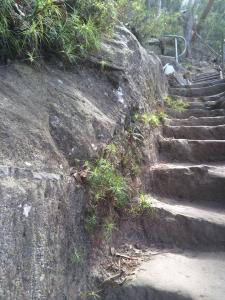 10001454_10152636844017802_1822091575_n