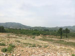 10291832_10152823563392802_8627644908401572465_n