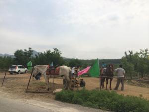 10346641_10152823563642802_6681643279099272707_n