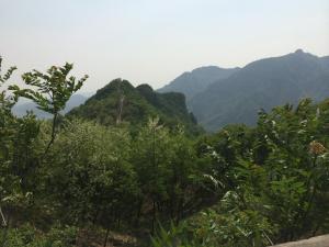 10409529_10152823565367802_8922290515102020119_n